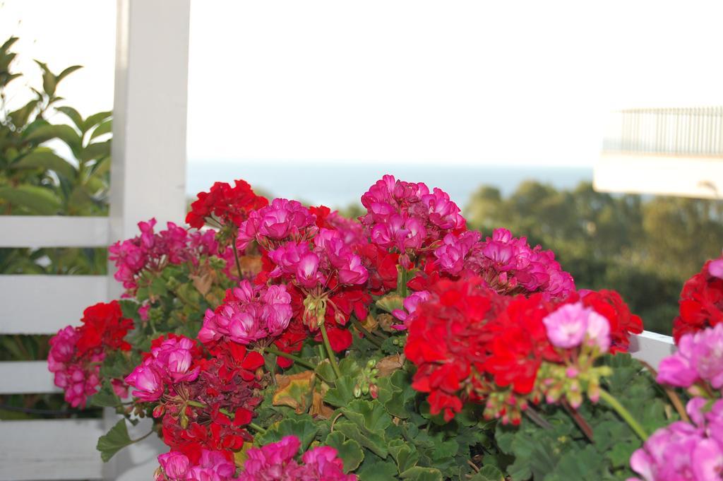 B&B H224 Reggio di Calabria Zewnętrze zdjęcie