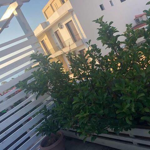 B&B H224 Reggio di Calabria Zewnętrze zdjęcie